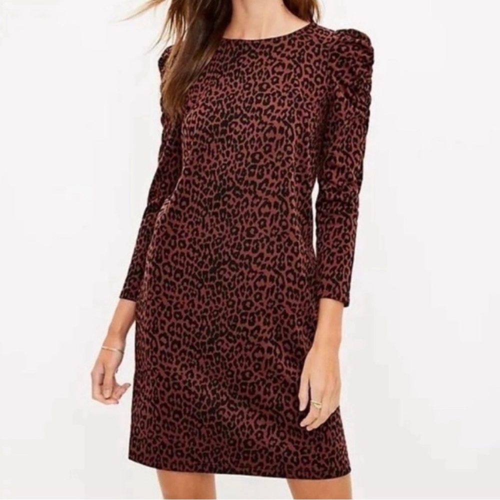 BOGO LOFT Leopard Print Long Sleeve Dress with puff shoulders